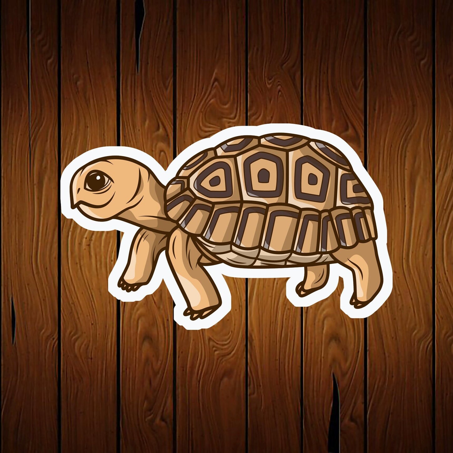 Turtle Tortoise Cookie Cutter 4